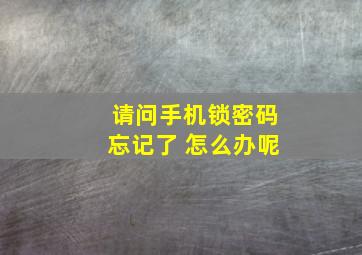 请问手机锁密码忘记了 怎么办呢